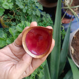 Copper Enamel Diya Plain